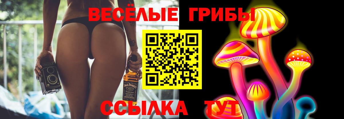 Псилоцибиновые грибы Psilocybine cubensis  Вход с VPN  Псилоцибиновые грибы Psilocybine cubensis  Мытищи 